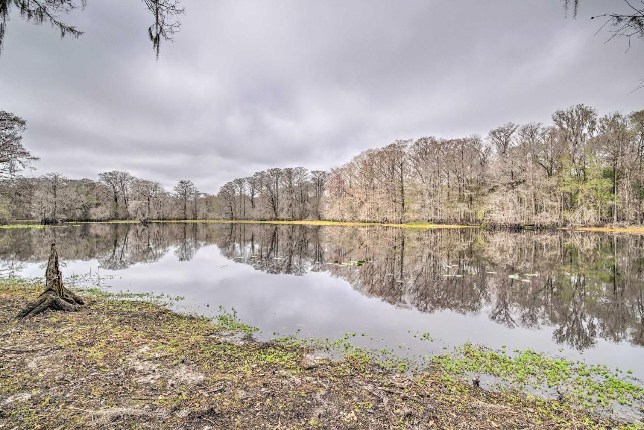 Unplugged Withlacoochee Riverfront Retreat! Bushnell Exterior foto
